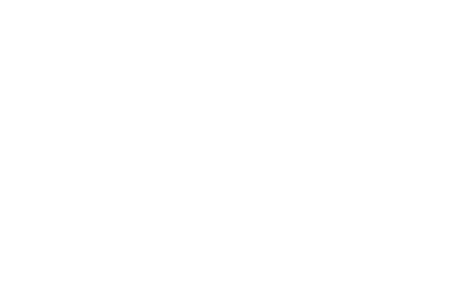 The Wiz 2024 National Tour Revenue Management