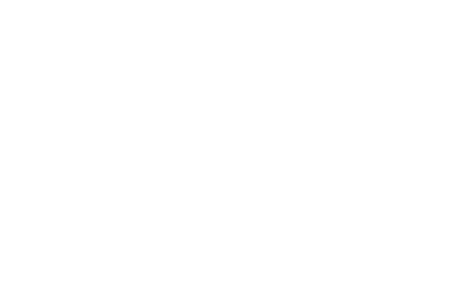 Runyonland Productions